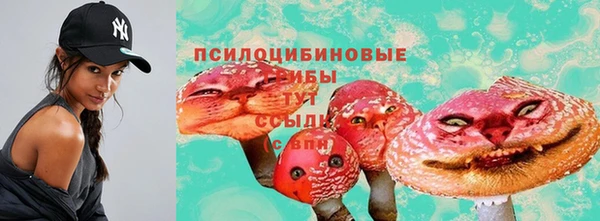 jwh Бородино