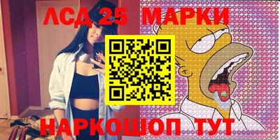 стаф Можга