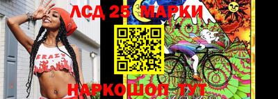 стаф Можга