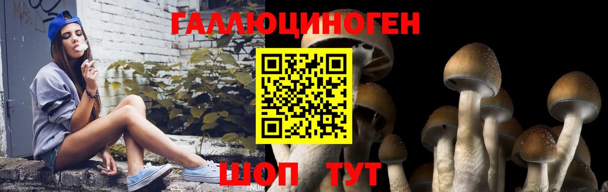 Галлюциногенные грибы GOLDEN TEACHER Пятигорск