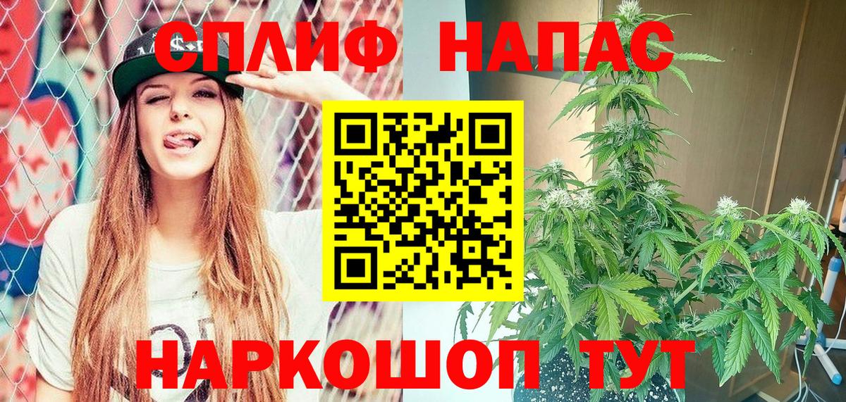 Каннабис семена  Канабис Ganja  Марихуана Bruce Banner  Бошки Шишки индика  Вход с VPN  Пятигорск 
